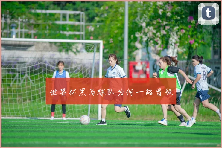 世界杯黑马球队为何一路晋级